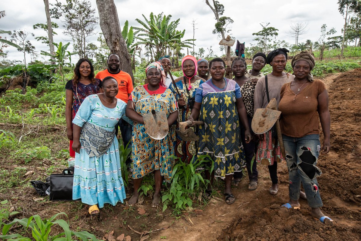 Intrants agricoles