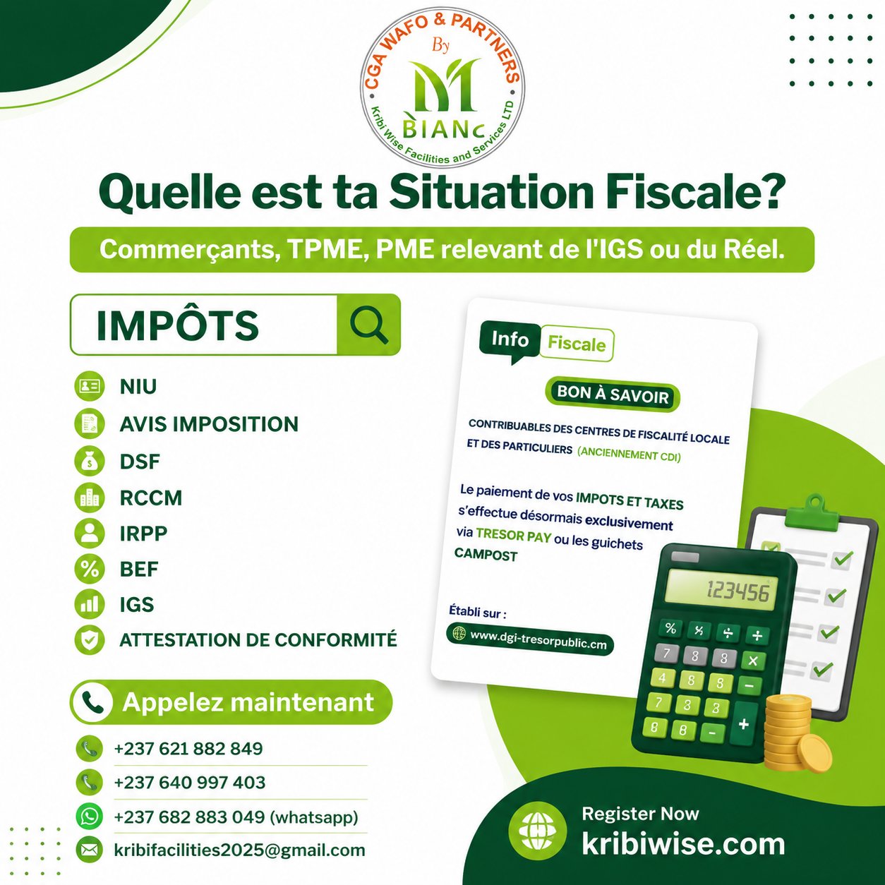 Situation fiscale : NIU, DSF, IRPP, IGS — Kribi Wise