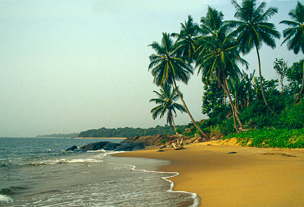 Terrain à Kribi