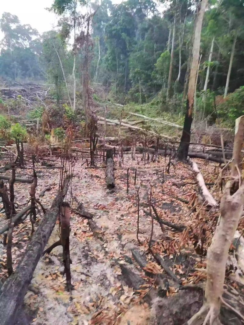 Projet immobilier Kribi